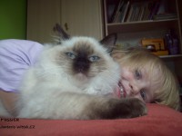 /album/fotogalerie-kocka/a330-6803-jpg/